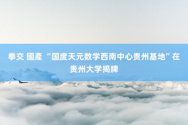 拳交 國產 “国度天元数学西南中心贵州基地”在贵州大学揭牌