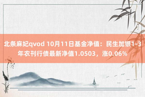 北条麻妃qvod 10月11日基金净值：民生加银1-3年农刊行债最新净值1.0503，涨0.06%