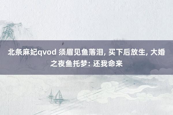 北条麻妃qvod 须眉见鱼落泪, 买下后放生, 大婚之夜鱼托梦: 还我命来