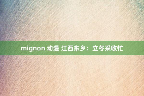 mignon 动漫 江西东乡：立冬采收忙