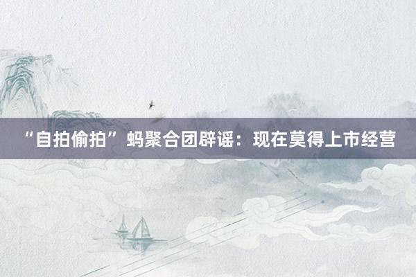 “自拍偷拍” 蚂聚合团辟谣：现在莫得上市经营
