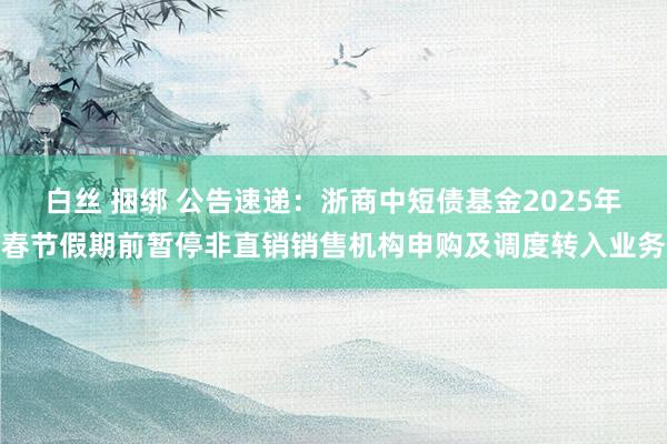 白丝 捆绑 公告速递：浙商中短债基金2025年春节假期前暂停非直销销售机构申购及调度转入业务