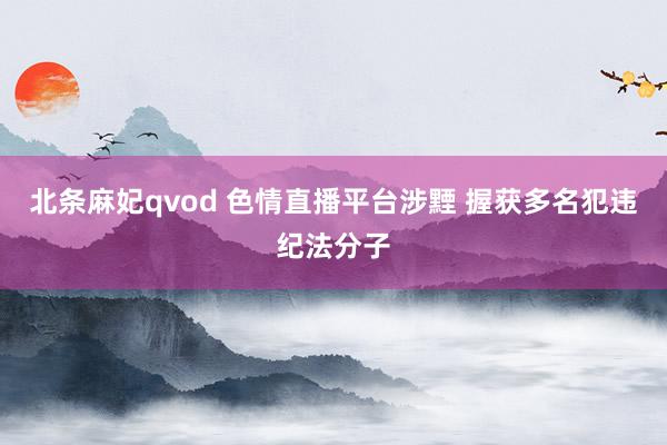 北条麻妃qvod 色情直播平台涉黫 握获多名犯违纪法分子