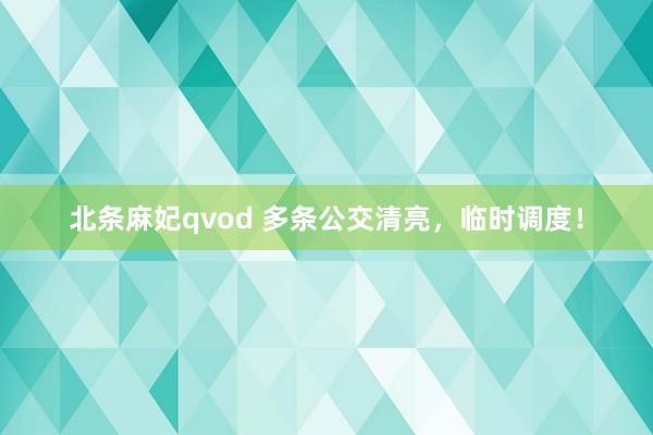 北条麻妃qvod 多条公交清亮，临时调度！