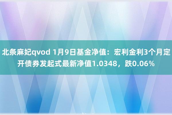北条麻妃qvod 1月9日基金净值：宏利金利3个月定开债券发起式最新净值1.0348，跌0.06%