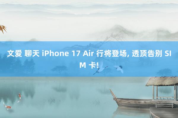 文爱 聊天 iPhone 17 Air 行将登场, 透顶告别 SIM 卡!