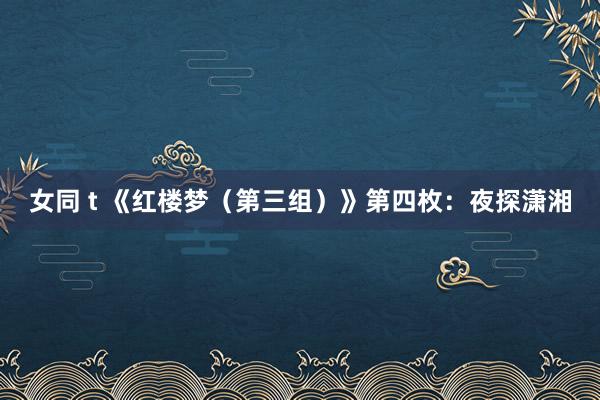 女同 t 《红楼梦（第三组）》第四枚：夜探潇湘