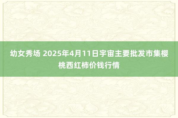 幼女秀场 2025年4月11日宇宙主要批发市集樱桃西红柿价钱行情
