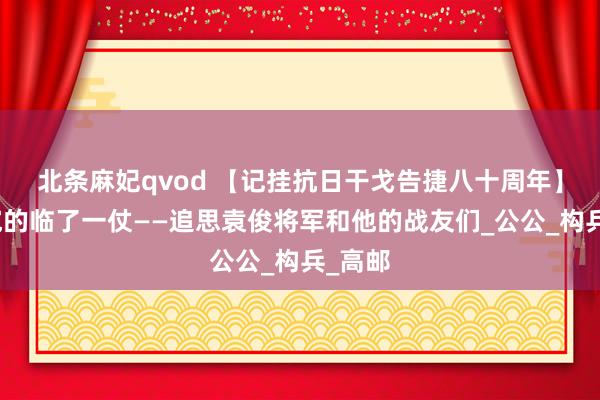 北条麻妃qvod 【记挂抗日干戈告捷八十周年】对日寇的临了一仗——追思袁俊将军和他的战友们_公公_构兵_高邮