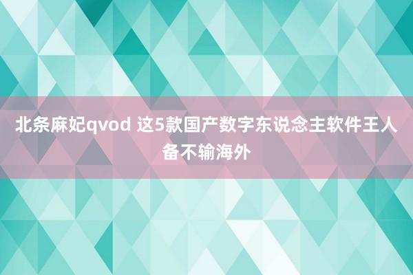 北条麻妃qvod 这5款国产数字东说念主软件王人备不输海外