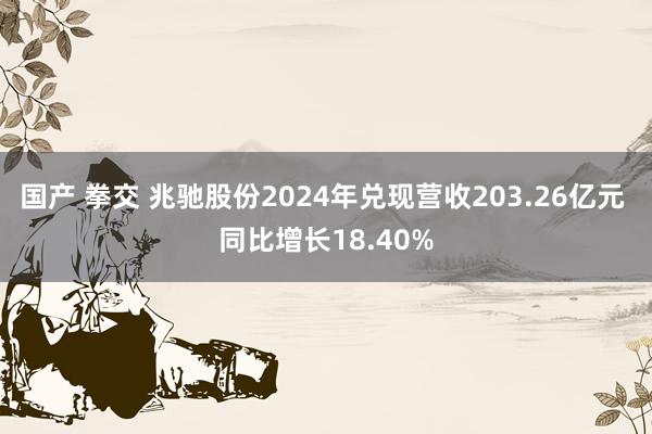 国产 拳交 兆驰股份2024年兑现营收203.26亿元 同比增长18.40%