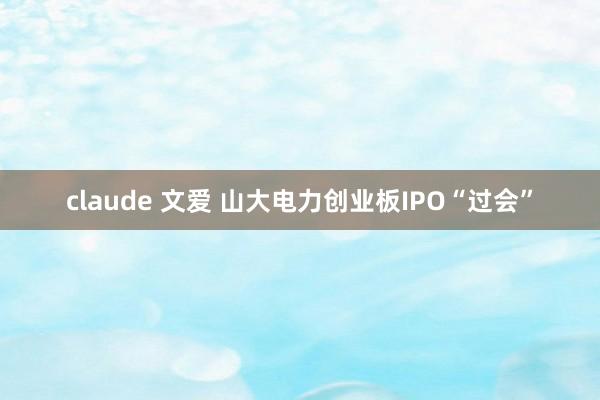 claude 文爱 山大电力创业板IPO“过会”