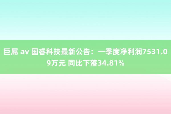 巨屌 av 国睿科技最新公告：一季度净利润7531.09万元 同比下落34.81%