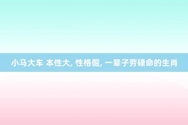 小马大车 本性大， 性格倔， 一辈子劳碌命的生肖